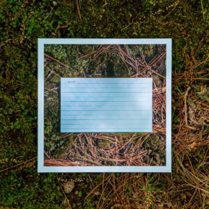 Front cover of 61-12 lying on moss and pine needles