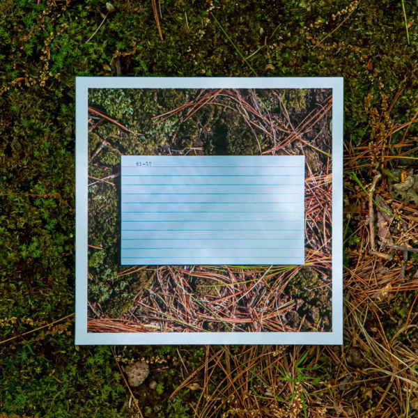 Front cover of 61-12 lying on moss and pine needles
