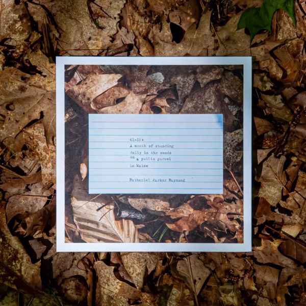 Back cover of 61-12 lying on dead leaves