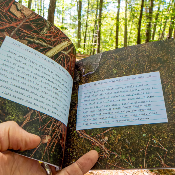 Internal pages of 61-12