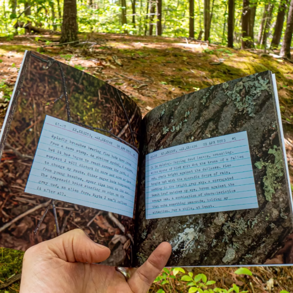 Internal pages of 61-12