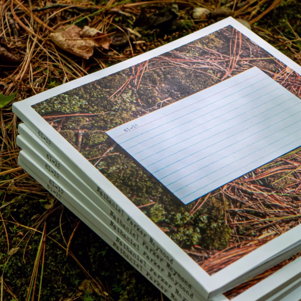 Stack of copies of 61-12 lying on pine needles