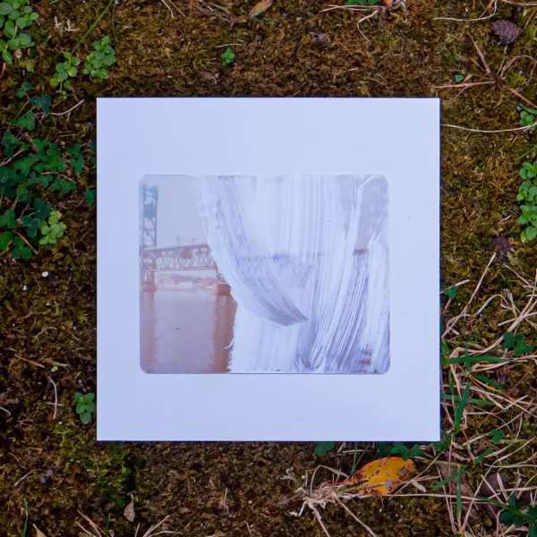 Back cover of it-self. lying on moss and, leaves, and grass