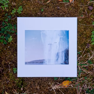 Front cover of it-self. lying on moss and, leaves, and grass