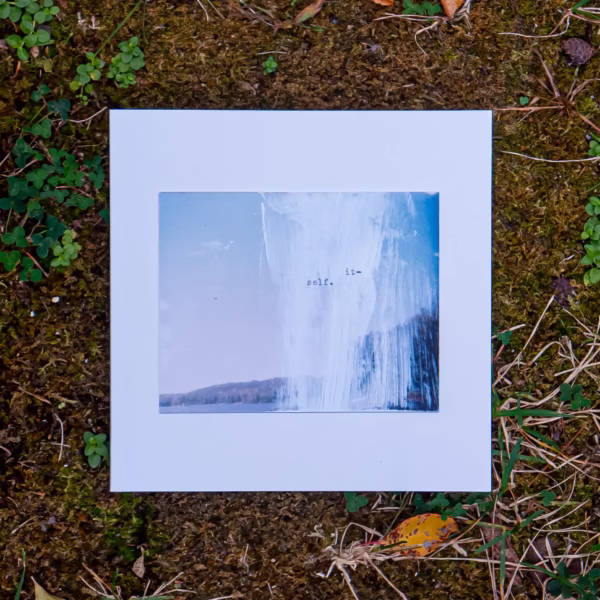 Front cover of it-self. lying on moss and, leaves, and grass
