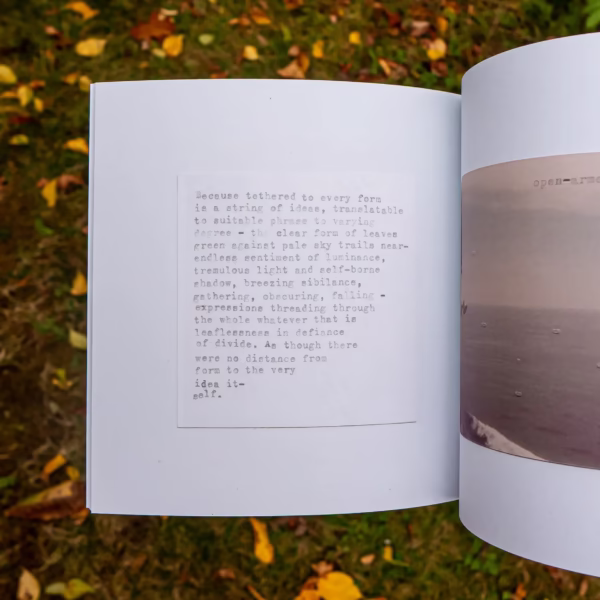 Interior page of it-self. in front of leaves and grass